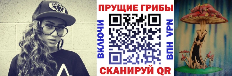 Галлюциногенные грибы GOLDEN TEACHER  kraken tor  Кореновск  закладки 